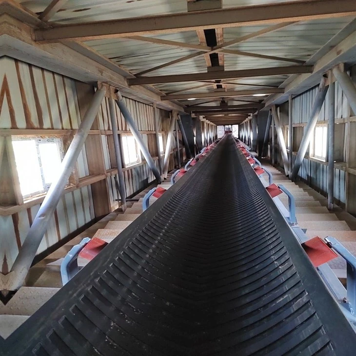 Truck Loading Conveyor suppliers